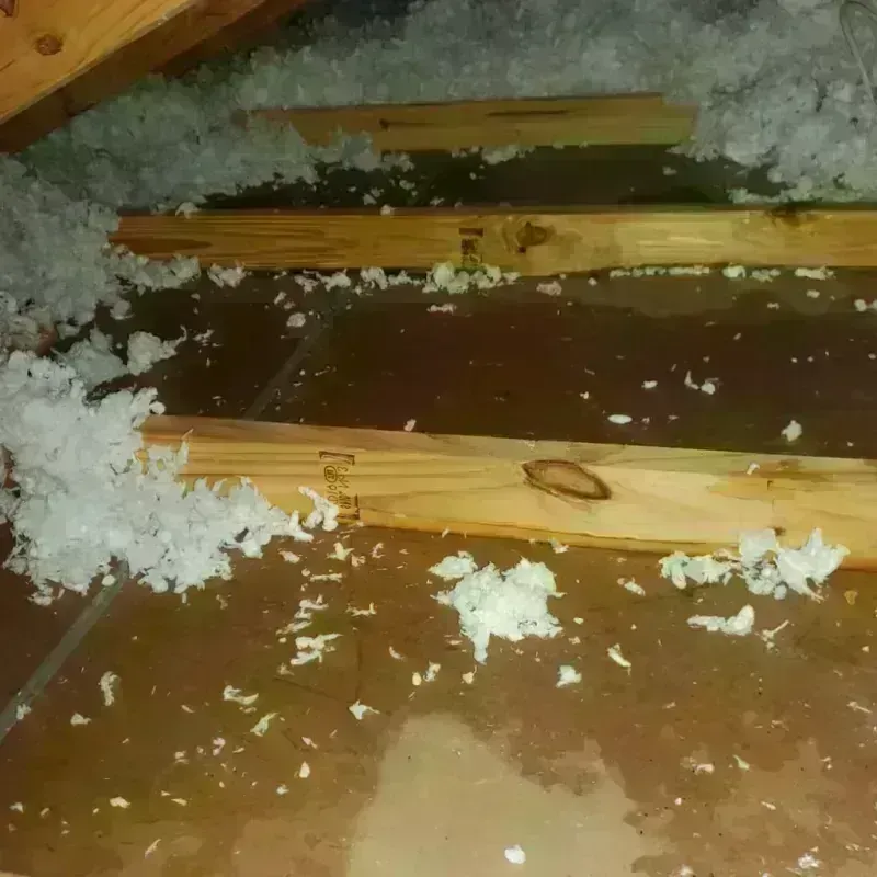 Attic Water Damage in Sachse, TX