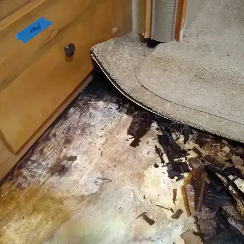 Best Wood Floor Water Damage Service in Sachse, TX